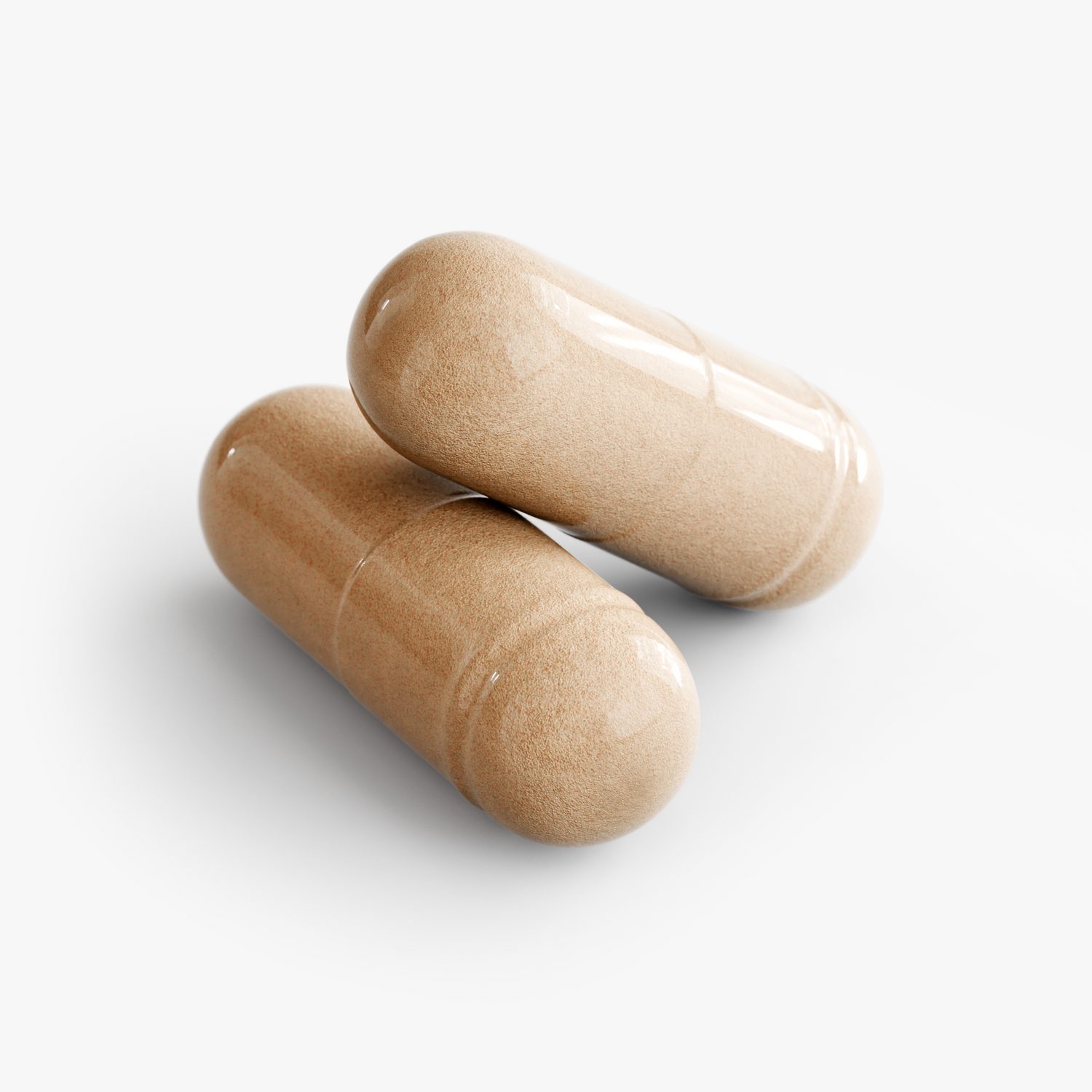 Mushroom Vigor Complex 10 X